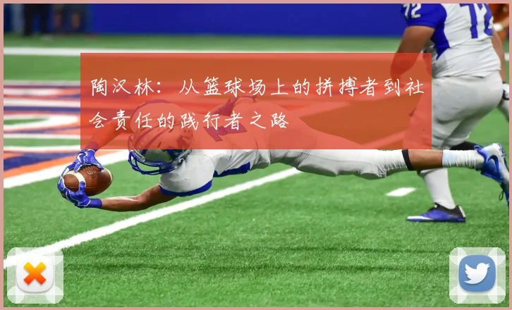 陶汉林：从篮球场上的拼搏者到社会责任的践行者之路