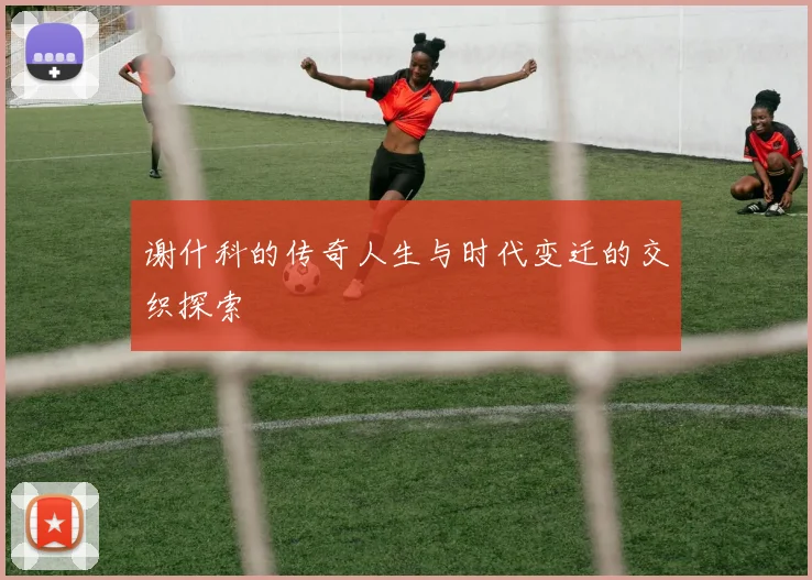 谢什科的传奇人生与时代变迁的交织探索